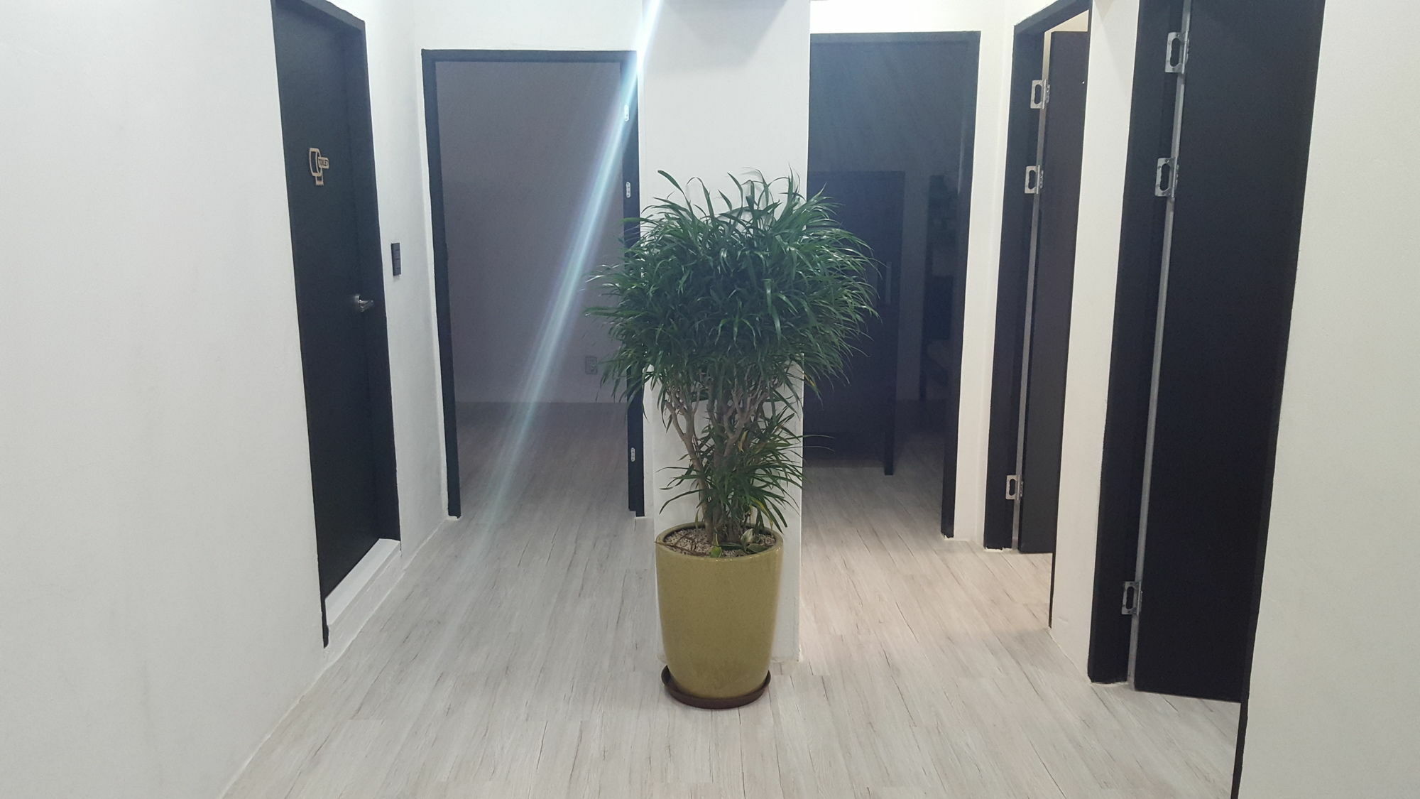 Amazon Guesthouse Seul Exterior foto